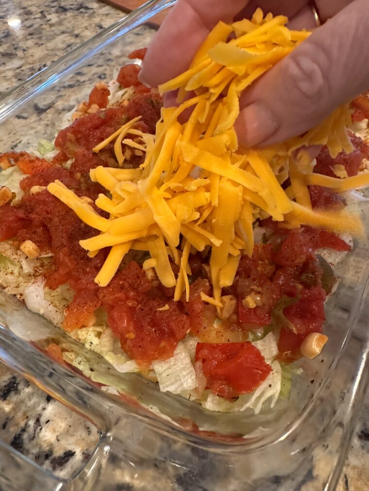 Layered Taco Dip