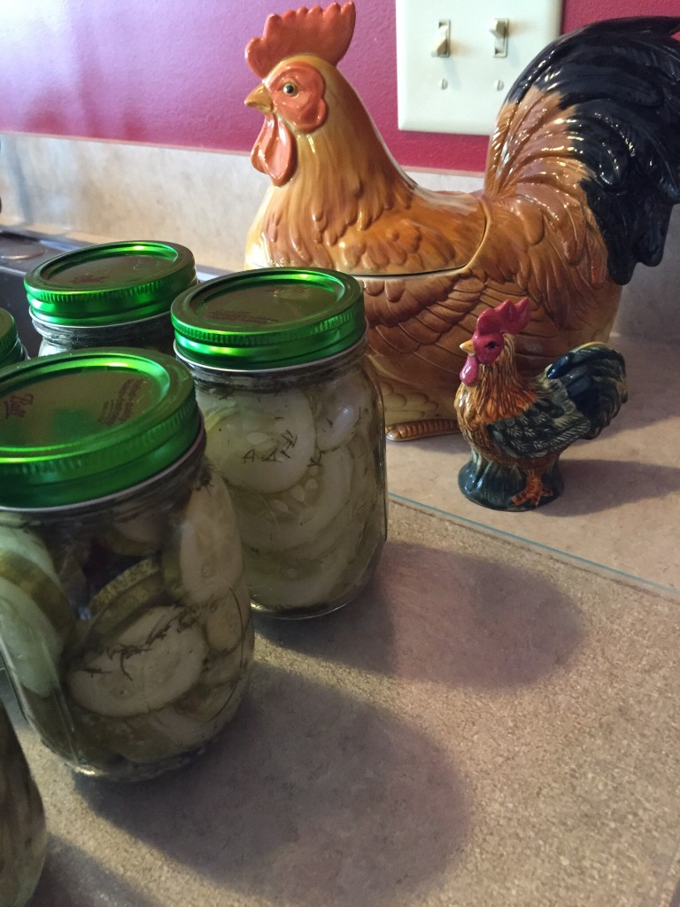 Blue Ribbon Dill Pickles