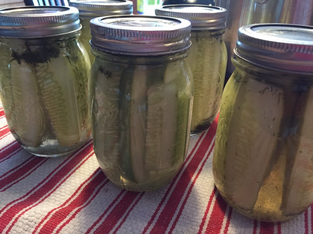 Blue Ribbon Dill Pickles