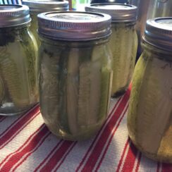 Blue Ribbon Dill Pickles