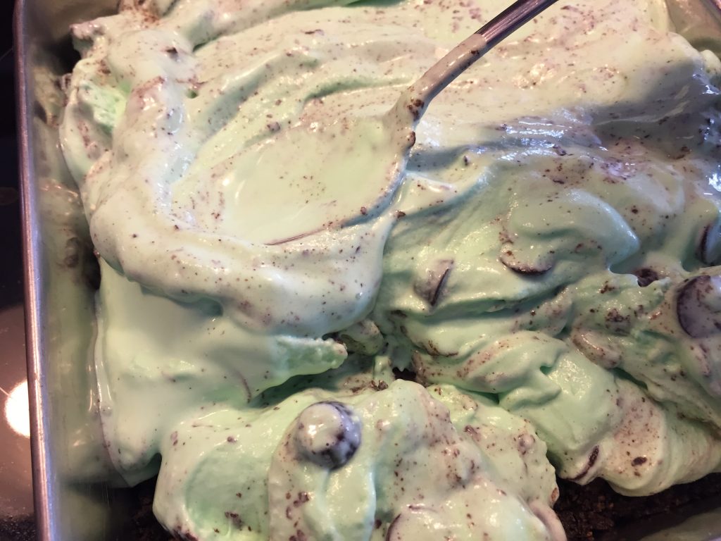 Mint Chocolate Chip Ice Cream