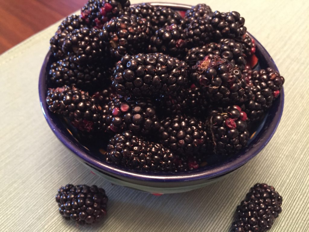 Fresh blackberries.