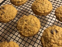 Pumpkin Chip Cookies