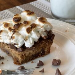 S'mores Dessert Bars