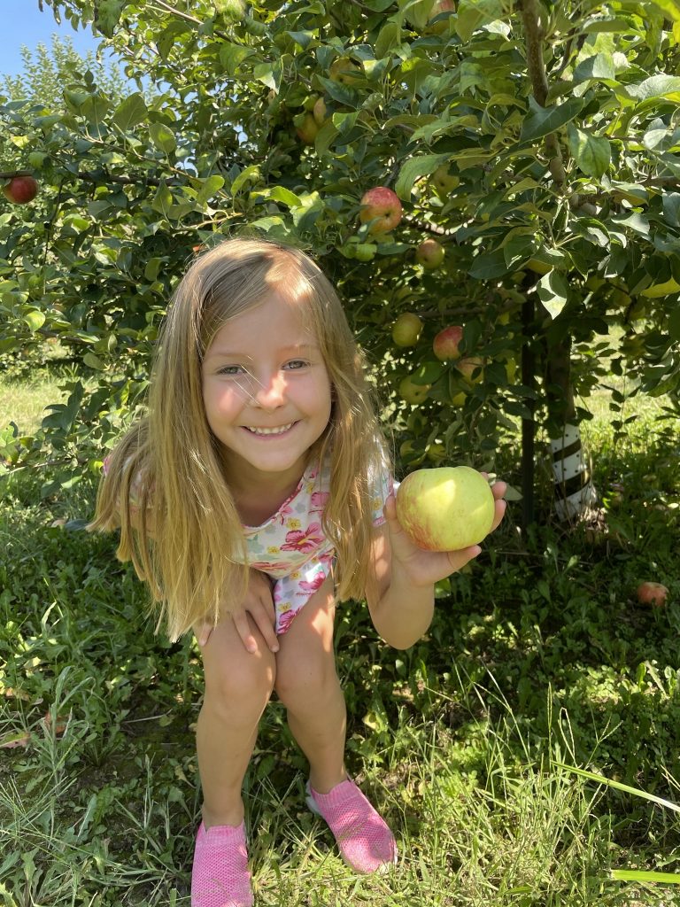 picking apples