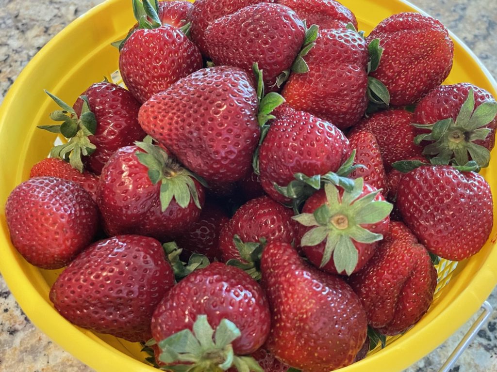 fresh strawberries