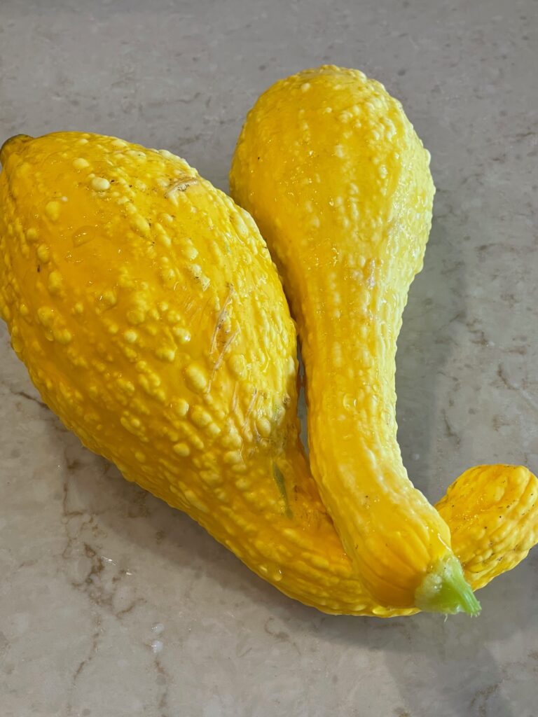 Summer Squash