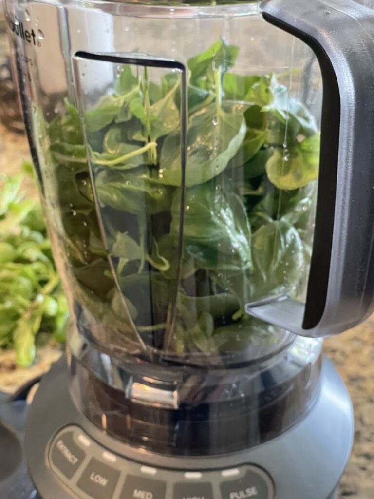 Making basil pesto in the blender.