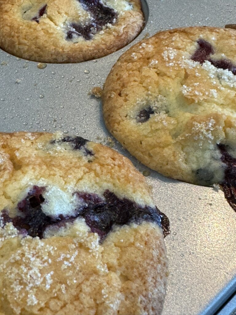 Lemon Blueberry Muffins