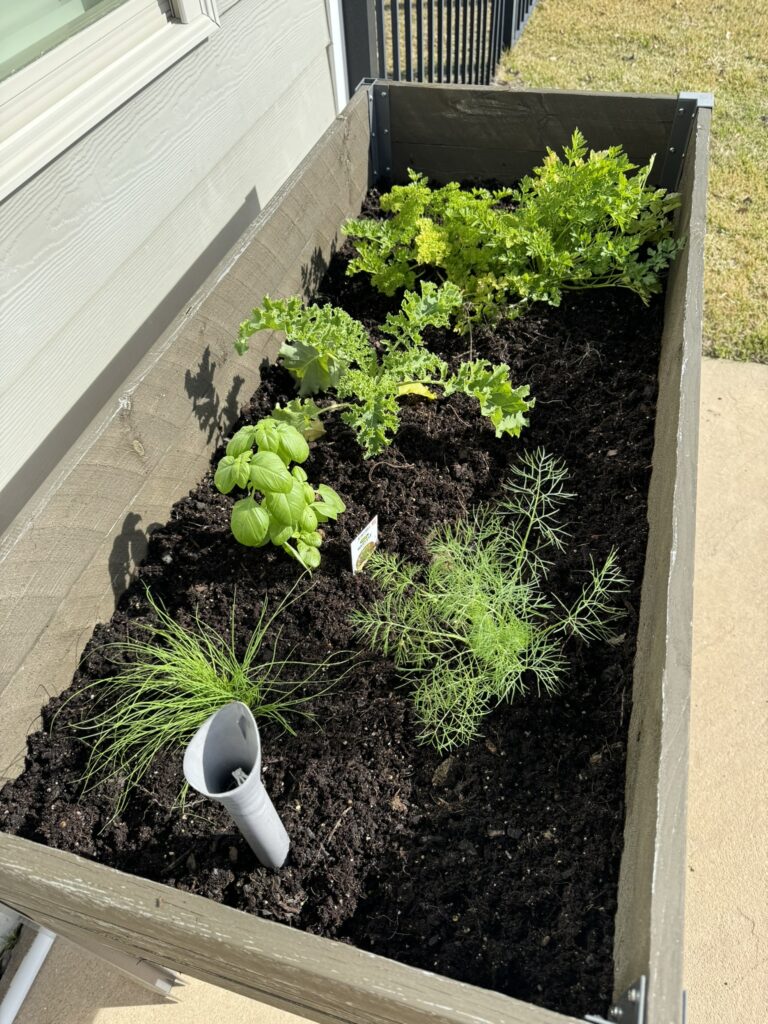 Costco's Self-Watering Elevated Garden Planter