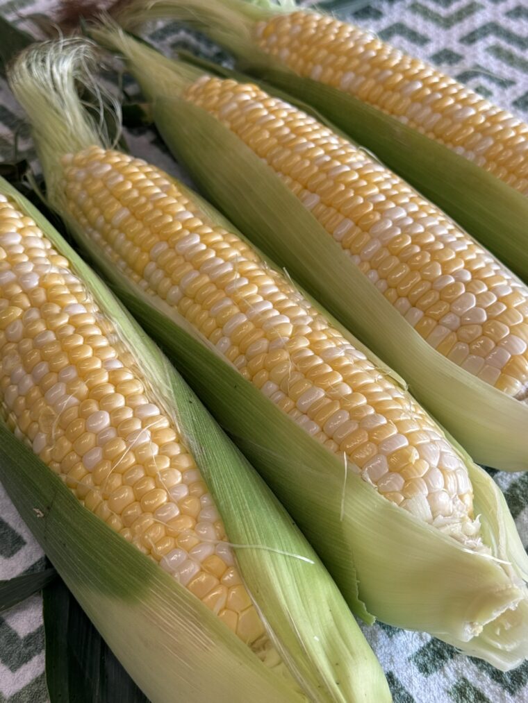 How to Freeze Corn